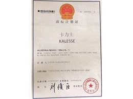 企業(yè)榮譽(yù)