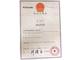 企業(yè)榮譽(yù)